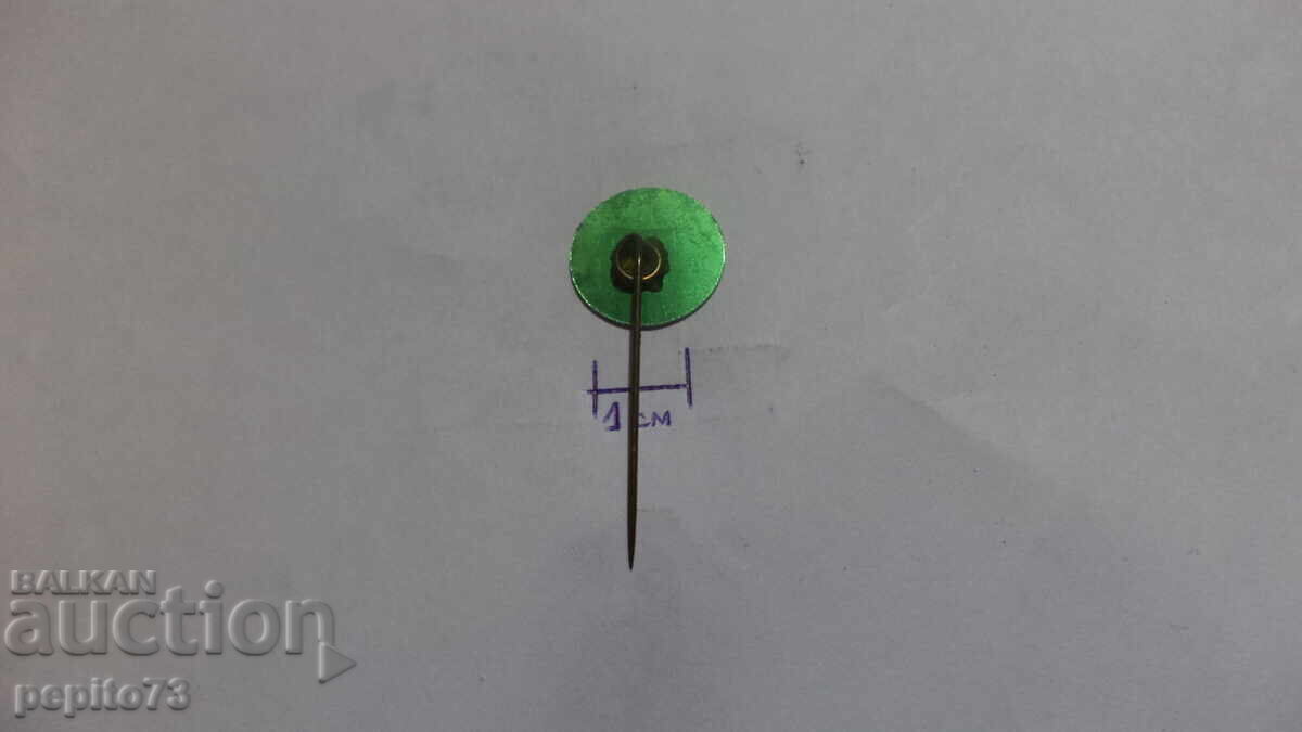 Emblemă publicitară, Anita Waalwijk, marcă de pantofi - 5