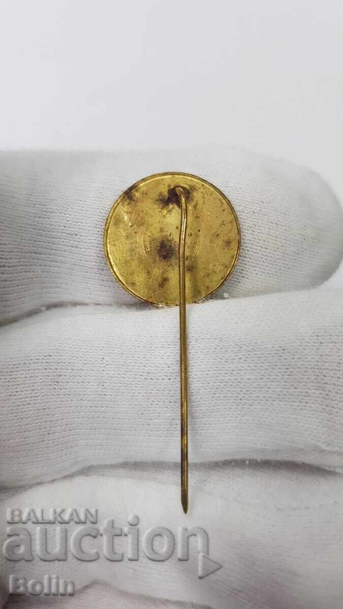 Semn Regal Rar, Insigna cu Todor Alexandrov - 1924 - 5