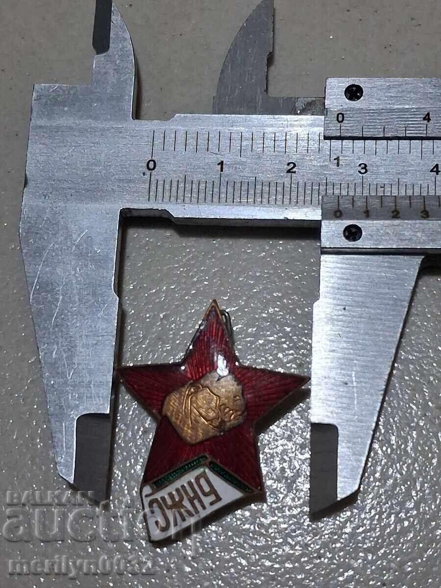 Livrarea Semn de piept Uniunea Femeilor Bulgare (Bulgarian National Women's Union) insignă Livrarea Semn de piept Uniunea Femeilor Bulgare (Bulgarian National Women's Union) insignă