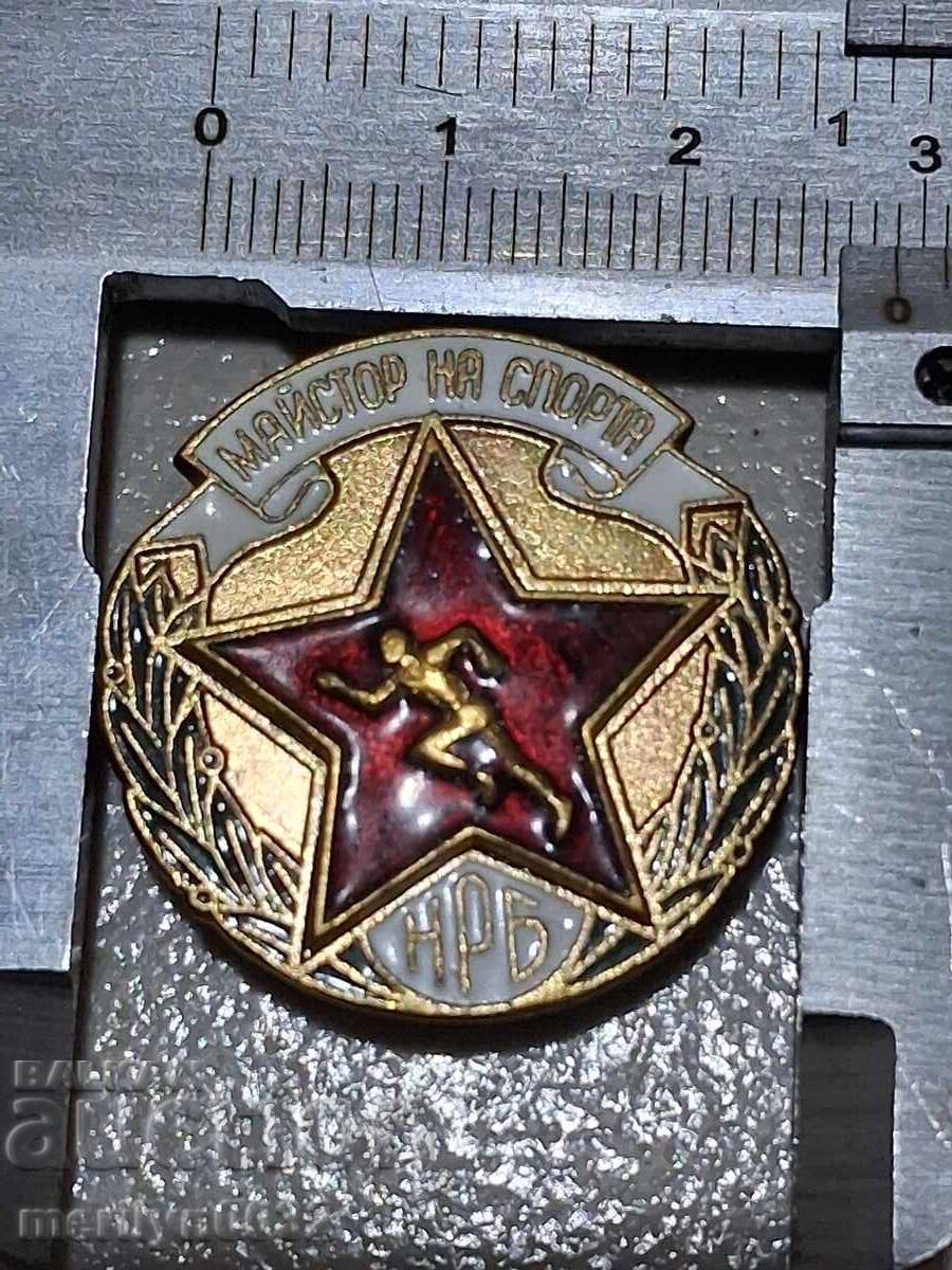 Licitație Insigna de piept Maestru al Sportului medalie email