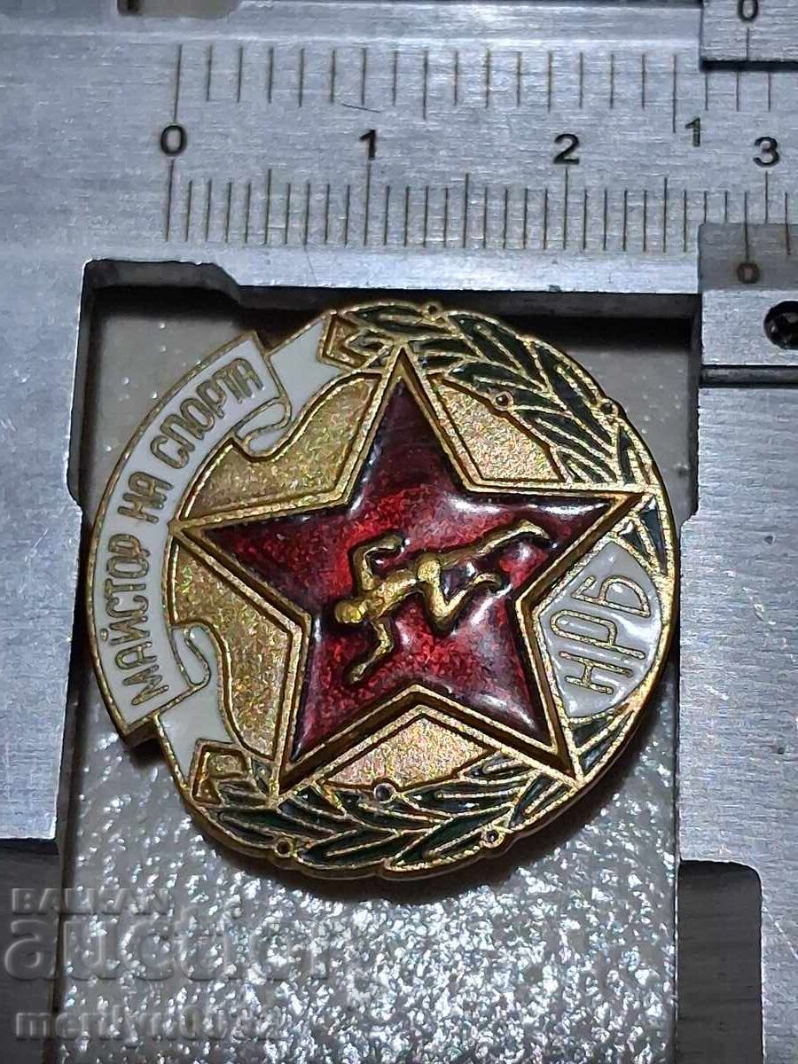 Livrarea Insigna de piept Maestru al Sportului medalie email