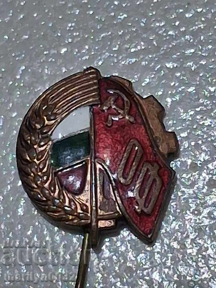 Semn pectoral OF medalie insignă - 7