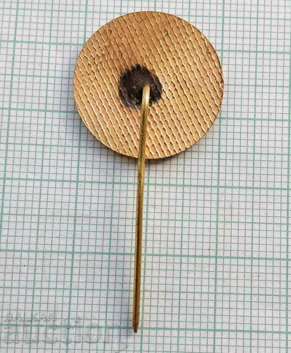 Δημοπρασία 19446 - Αγροτική Σπαρτακιάδα Περιφέρειας Βράτσα - μπρούντζινος σμάλτο