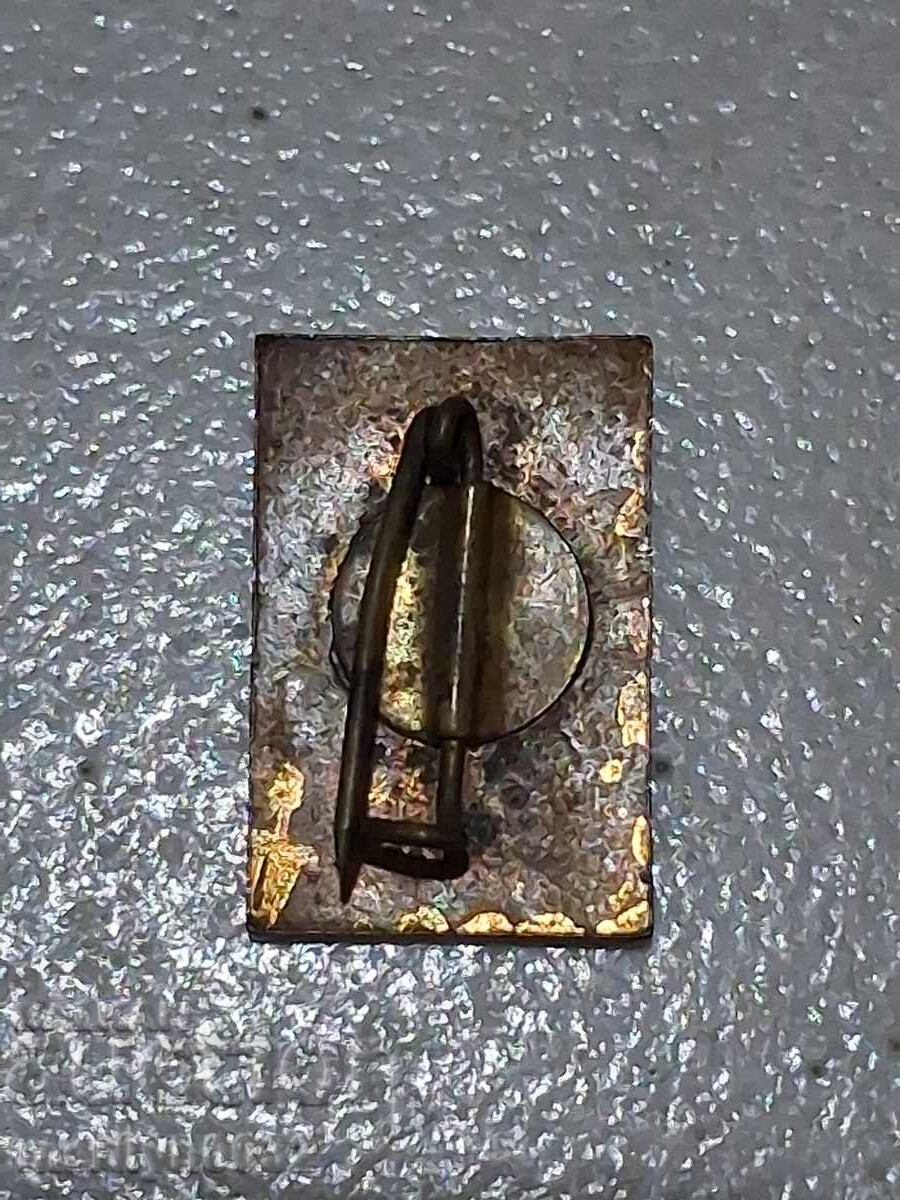 Nagrŭden znak Devnya znachka με τιμή € 29.65 | 57.99 BGN