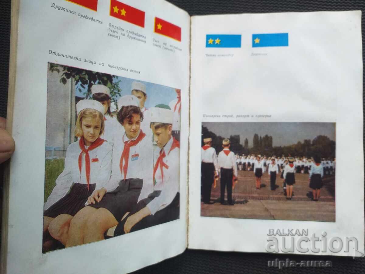 Licitație Propagandă socială SIMBOLISM PIONIERESC