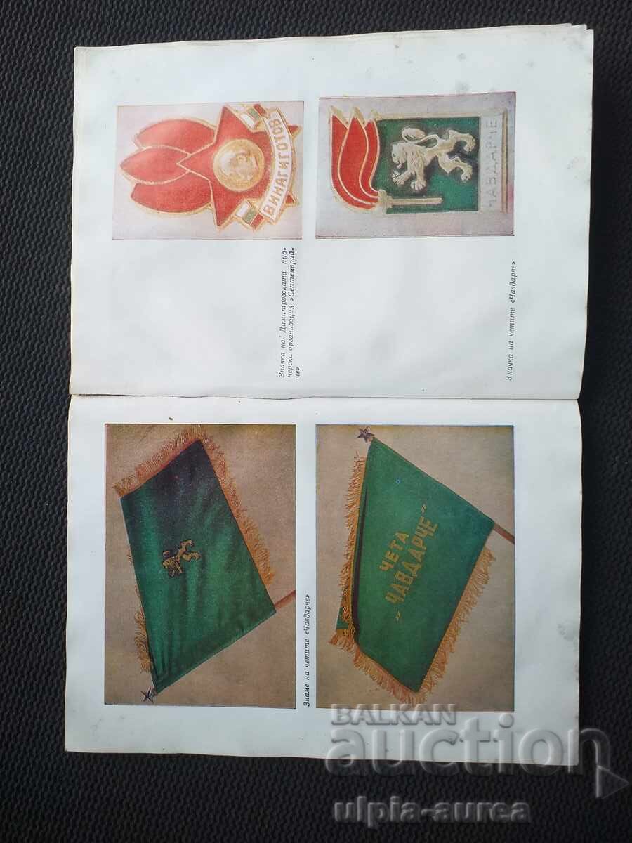 Propagandă socială SIMBOLISM PIONIERESC - 5