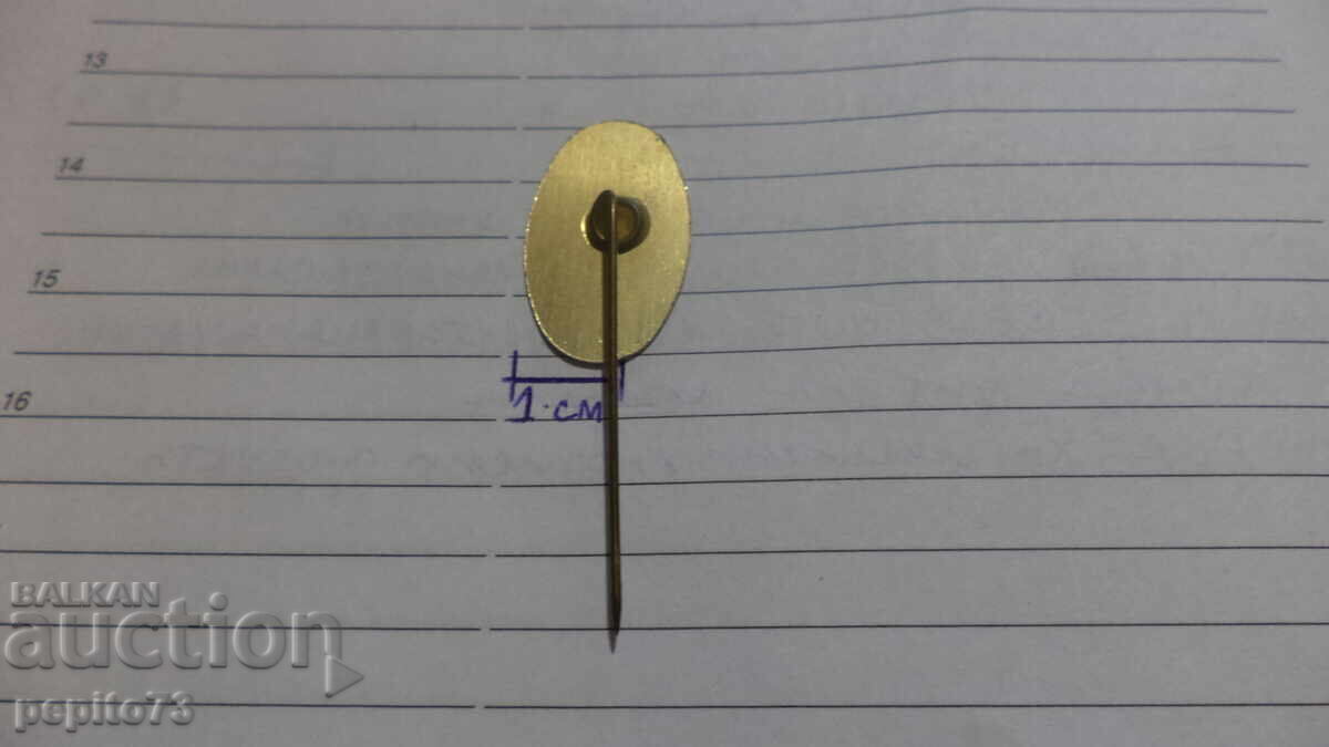 Delivery of E.De. Rooij Advertising Badge, Leather Goods