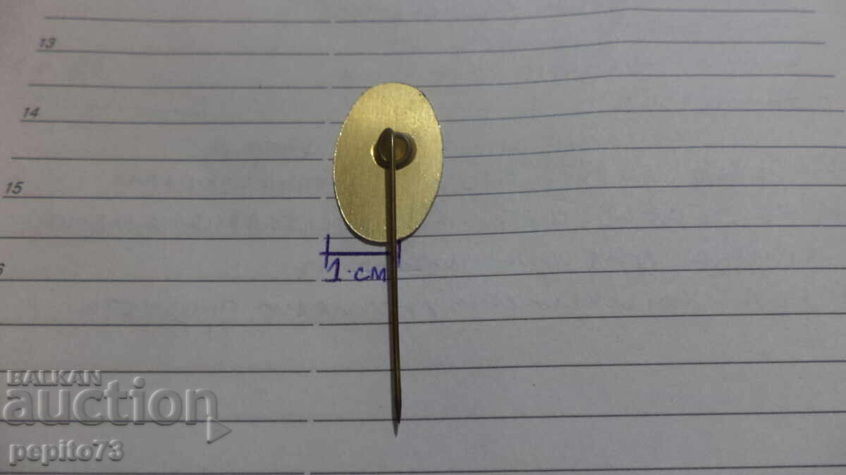 E.De. Rooij Advertising Badge, Leather Goods - 5