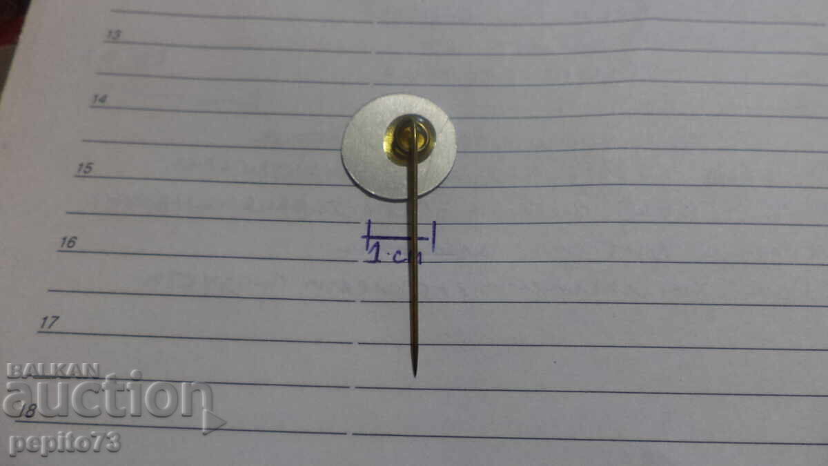 Livrarea Insigna publicitară, Vară, companie de radio și televiziune