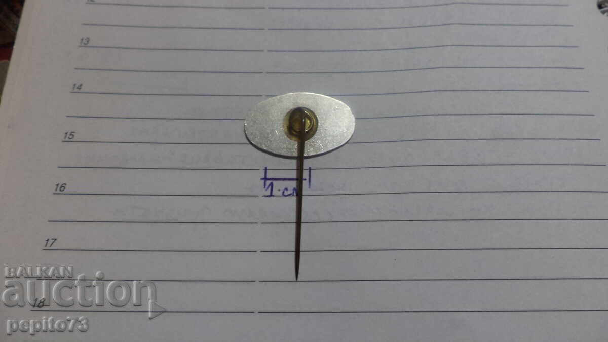 Livrarea Insigna publicitară Wella, marcă de gel de păr