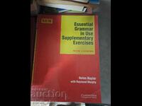 English Grammar in Use Supplementary Exercises - Red