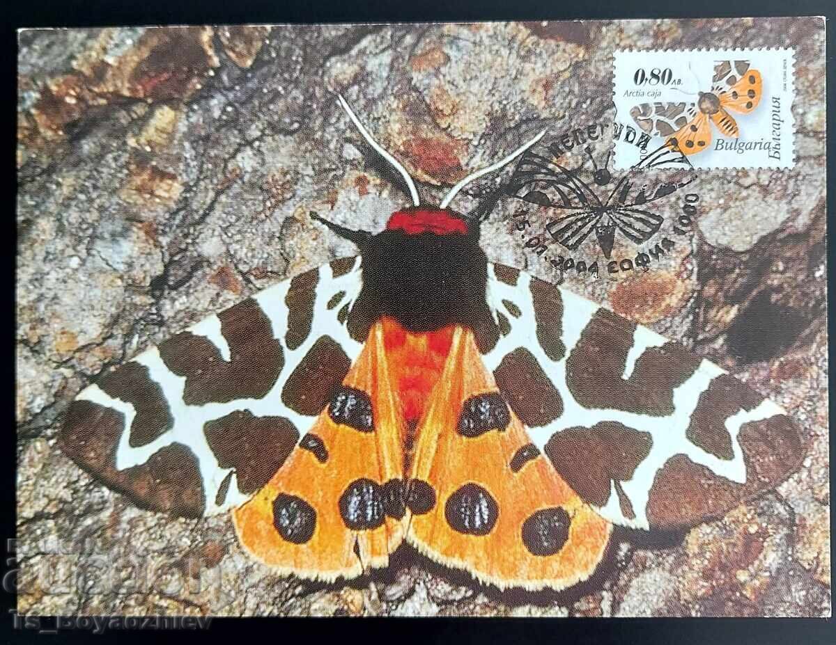 4 buc. Cărți maximum, 2004 4 buc. Cărți maximum, 2004