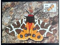 4 pcs. Maximum cards, 2004