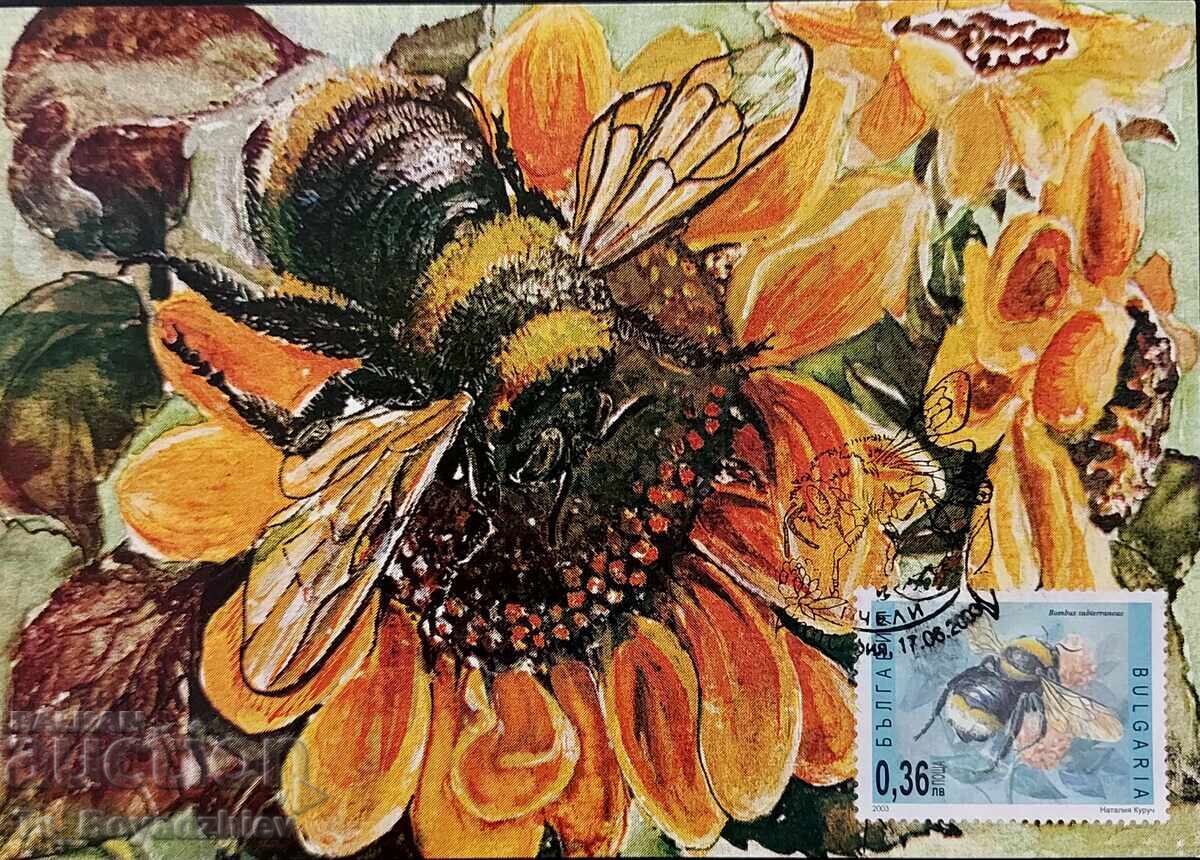 Licitație 4 buc. cărți - maximum, 2003