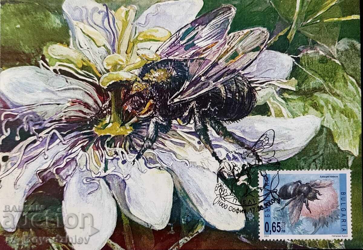 Livrarea 4 buc. cărți - maximum, 2003