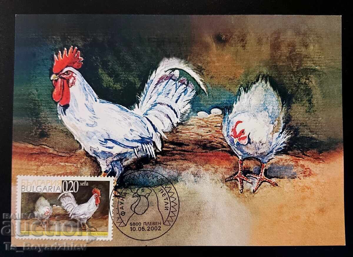 4 buc. cărți-maximum 2002, Cocoși cu preț € 12.00 | 23.47 BGN