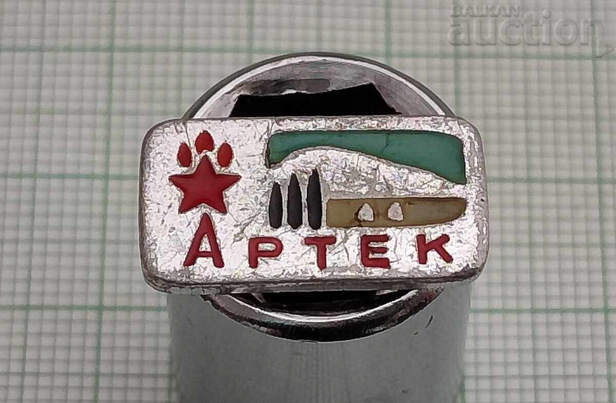 INSIGNĂ LAGĂR ARTEC PIONIERI URSS