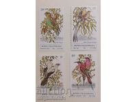 Bohutshatswana (South Africa) - birds