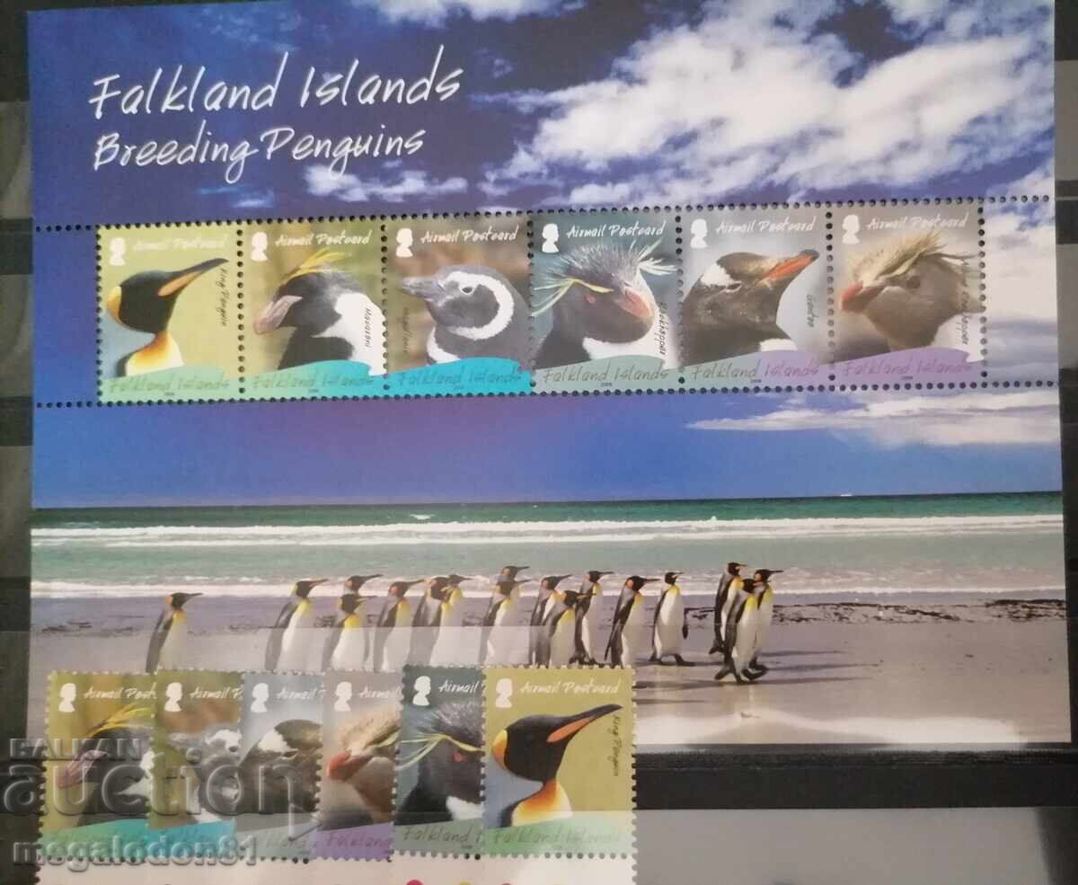 Insulele Falkland - faună, pinguini