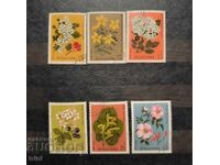 Bulgaria 1981 Flora Plante medicinale