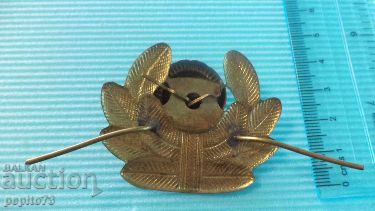 Auction  Bulgarian Air Force Cockade