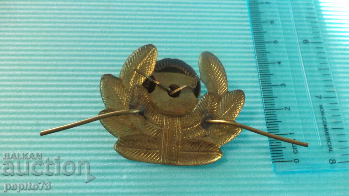 Delivery of Bulgarian Air Force Cockade