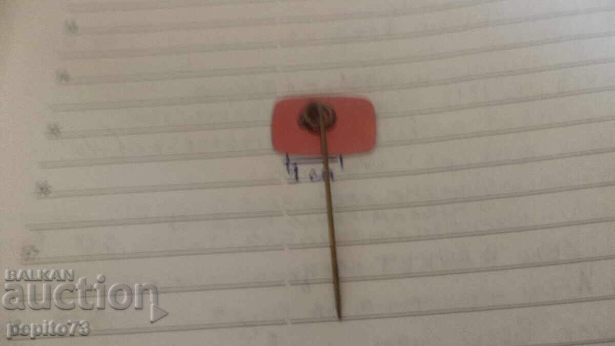 Livrarea Insigna promoțională, Artic IJS, marcă de înghețată Livrarea Insigna promoțională, Artic IJS, marcă de înghețată