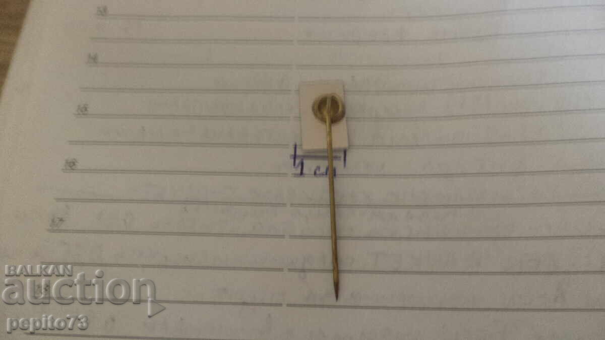 Livrarea Insigna de reclamă, Vară, televiziune și radio, companie