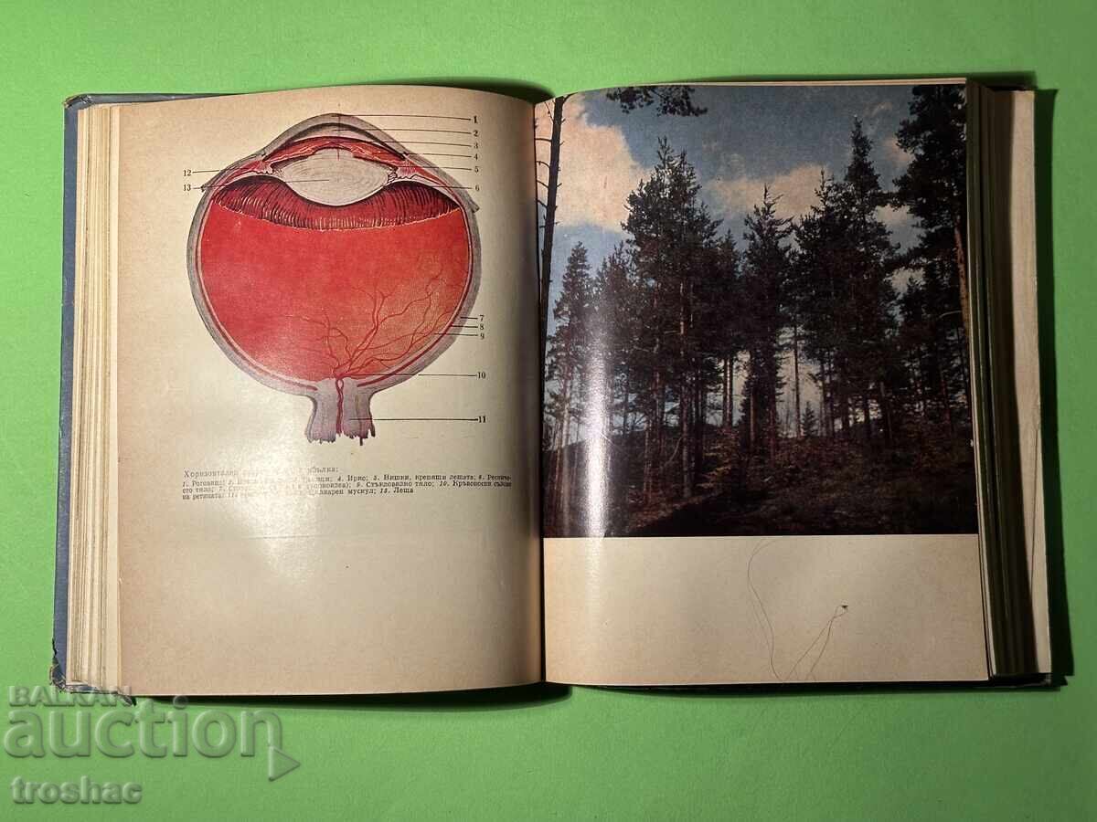 Old Book New Home Doctor / Assoc. Prof. Chr. Hristozov - 5