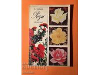 Παλαιό Βιβλίο Ρόζι / Β. Στάικοφ