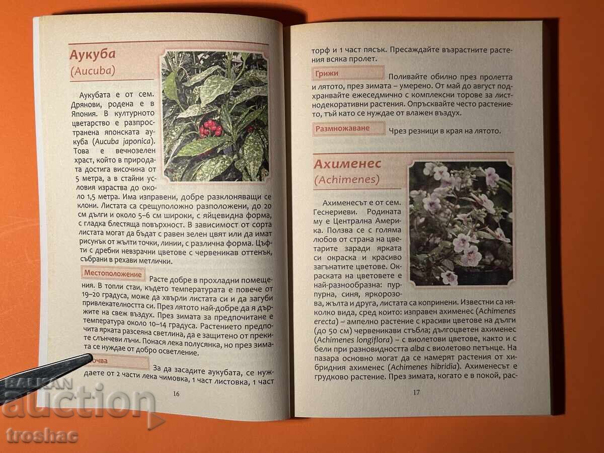 Carte veche Mare Enciclopedie a Florilor Flori de apartament cu preț € 15.00 | 29.34 BGN