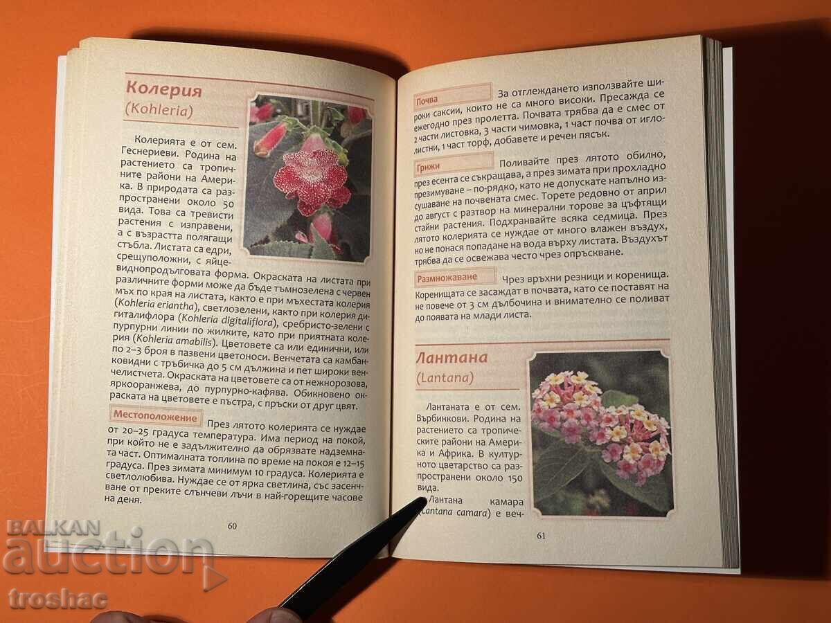 Licitație Carte veche Mare Enciclopedie a Florilor Flori de apartament