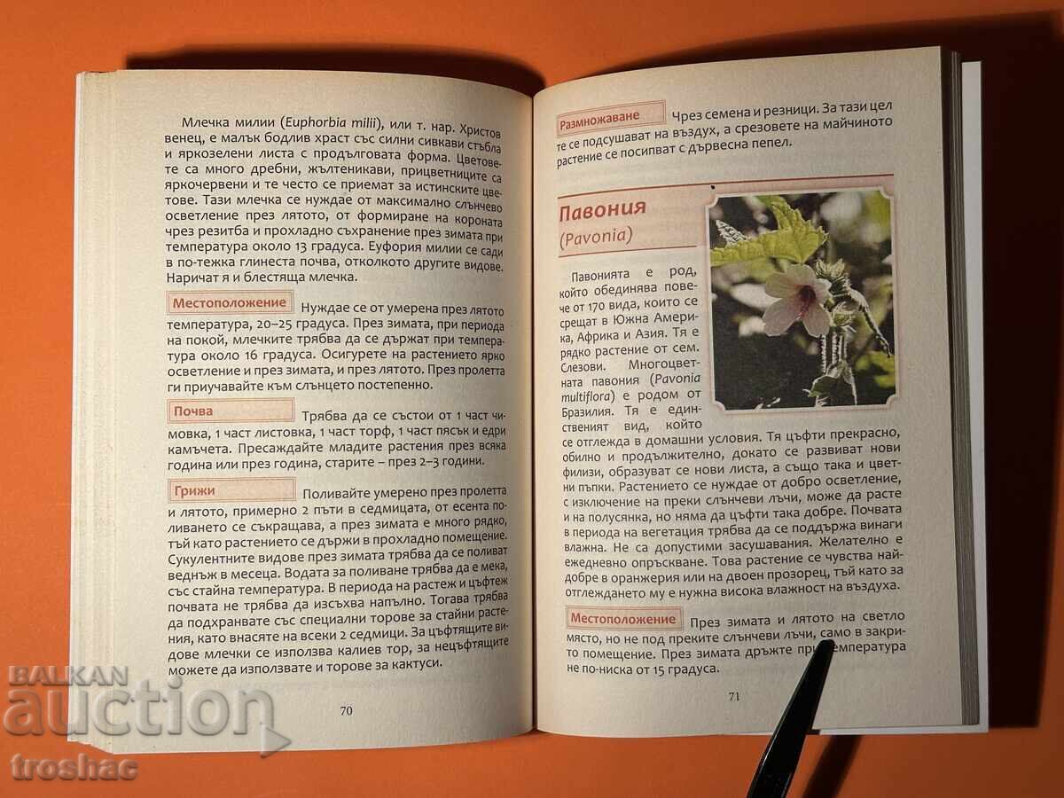 Livrarea Carte veche Mare Enciclopedie a Florilor Flori de apartament