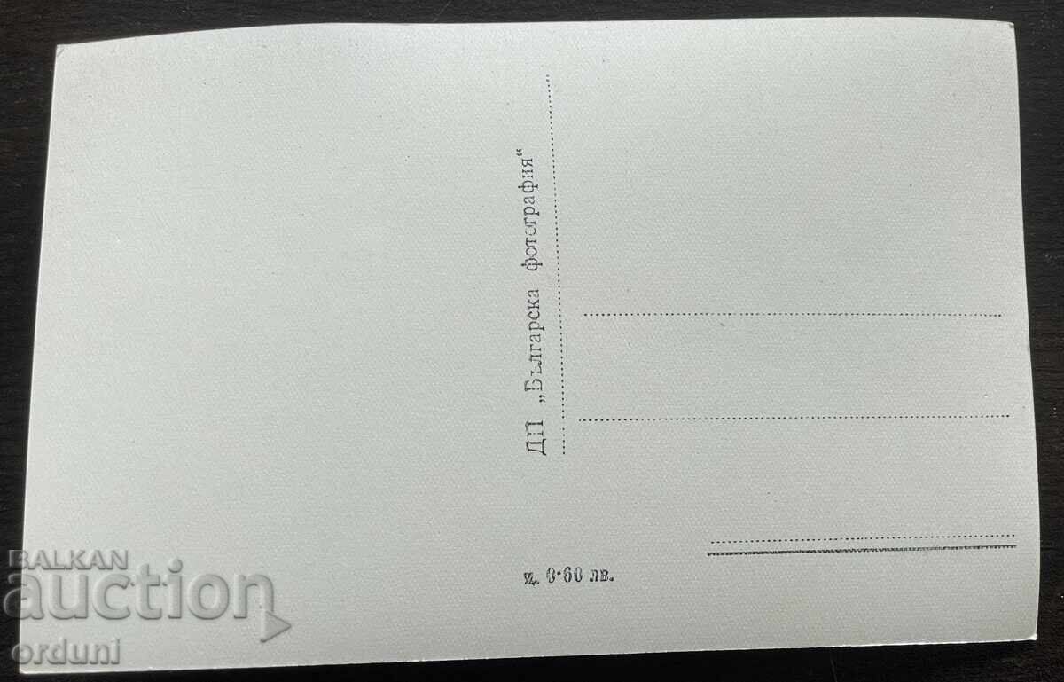 Licitație 5567 Bulgaria vedere carte Poiana Fecioarei Kostenetz anii '50