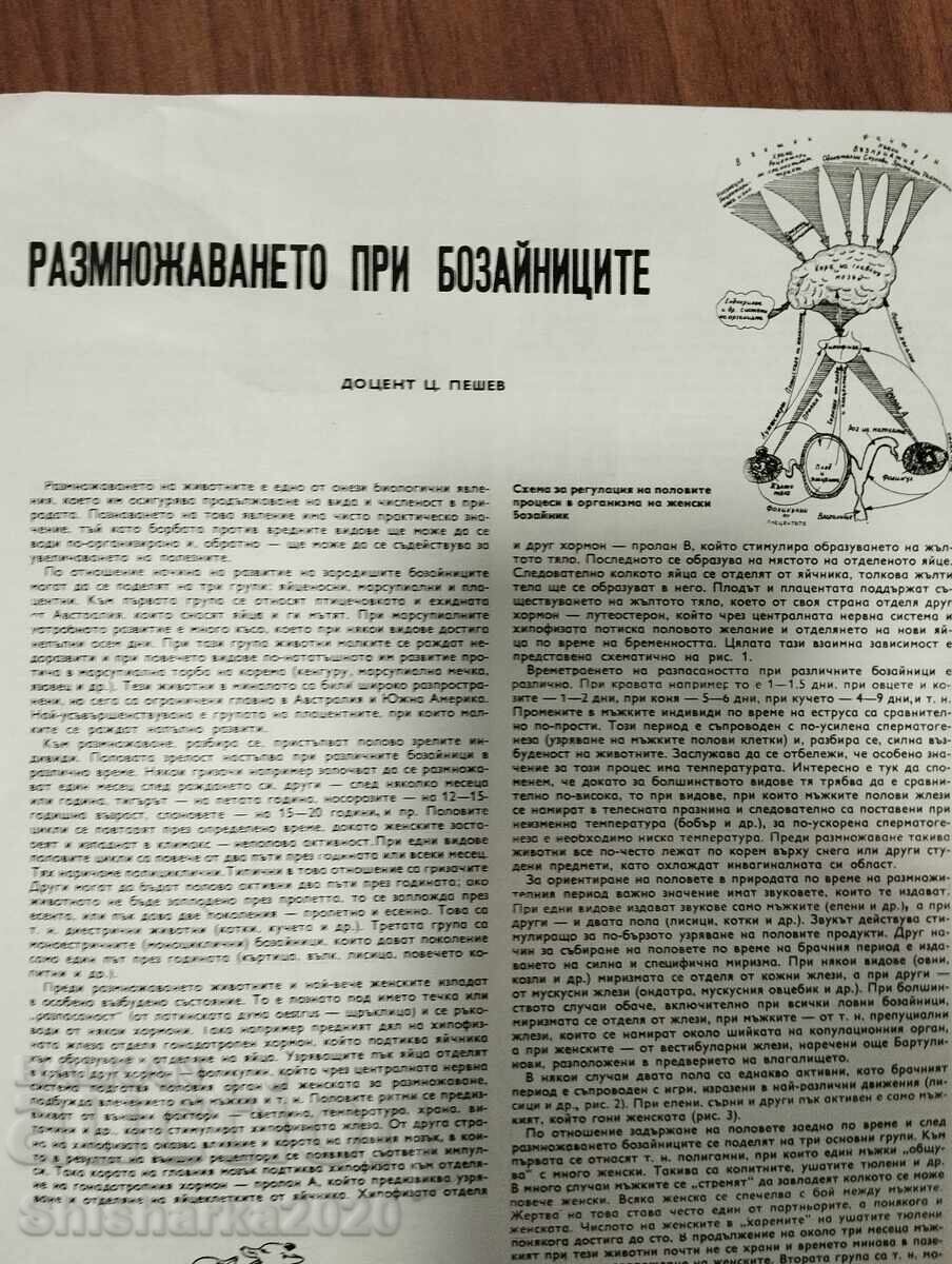 Delivery of Hunting and Fishing 1968 issue 8