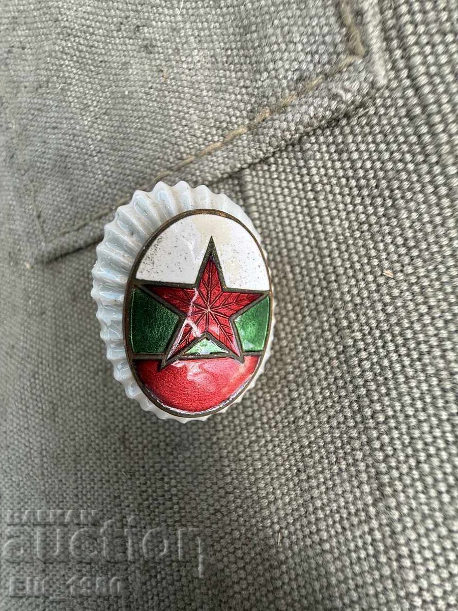 Cocarda de ofițer, social răniți