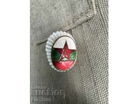 Cocarda de ofițer, social răniți