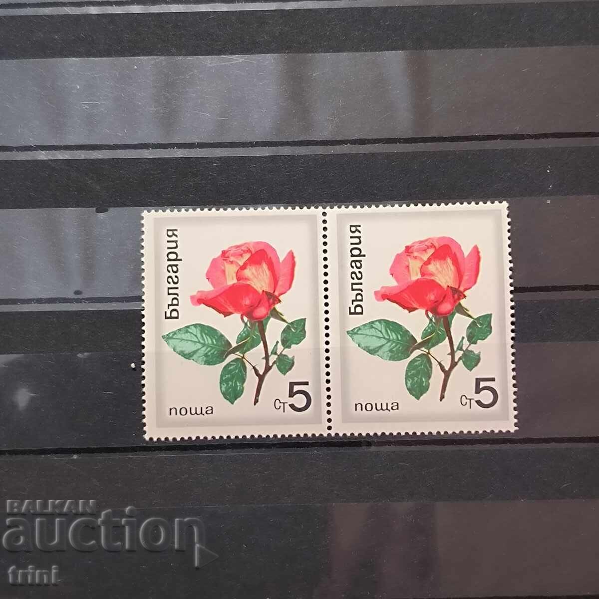 Bulgaria 1970 trandafiri flora