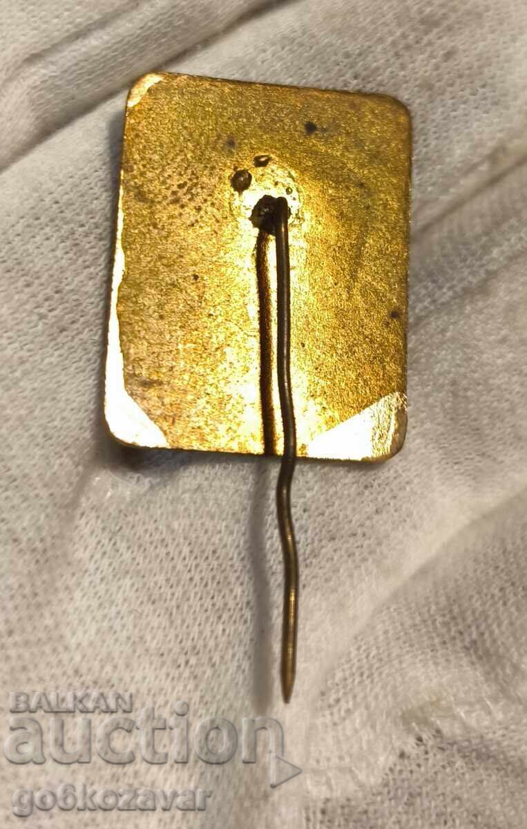 15,g vară turistică alpină pentru tineret! Email! cu preț € 7.50 | 14.67 BGN