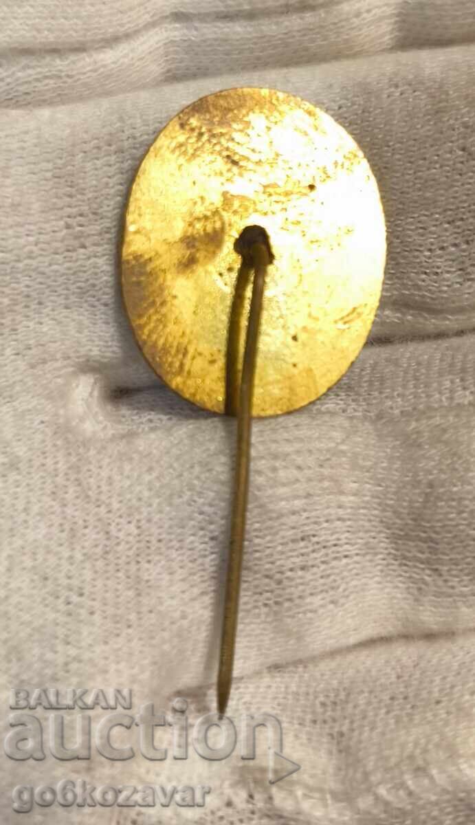 Εμβλημα Βουλγαρίας Οικολόγος Εμαγιέ με τιμή € 2.80 | 5.48 BGN