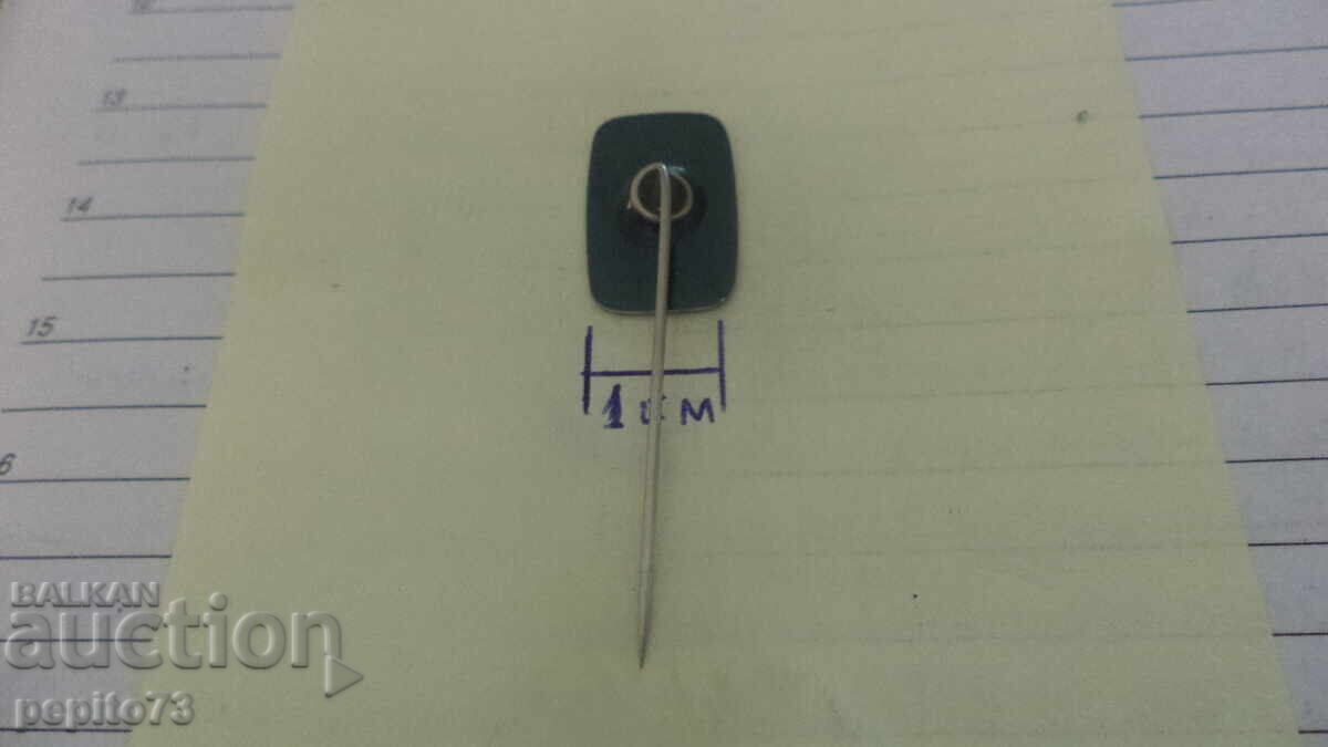 Delivery of Advertising badge, SU-NY, brand of cleaning products