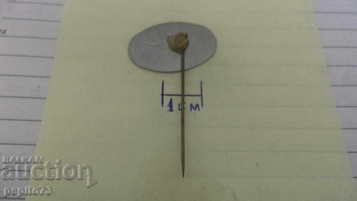 Semn de reclamă, Celerifere, bicicletă istorică - 5