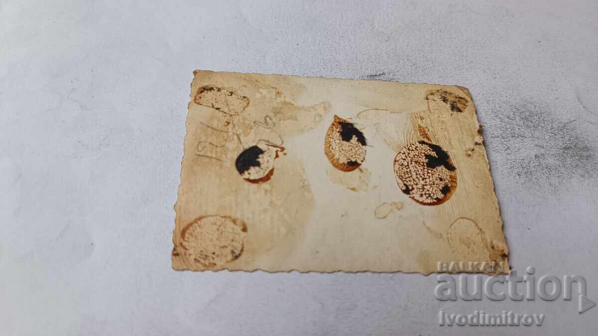 Foto Sofia Trei femei la plimbare cu preț € 0.88 | 1.72 BGN