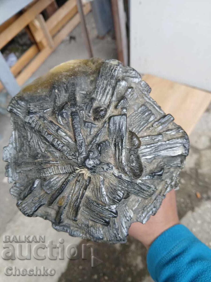 Lumânări fabricate în Germania cu preț € 14.00 | 27.38 BGN