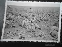 παλιά φωτογραφία