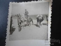 παλιά φωτογραφία