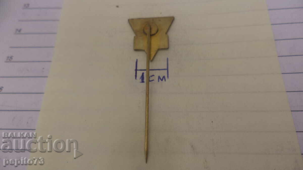 Livrarea Insigna publicitară, DEX Remia, marcă margarină