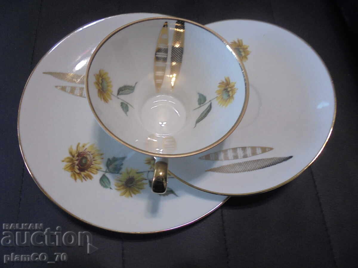 Livrarea №*8515 Set de porțelan triplu Z&Co Tirschenreut Bavaria