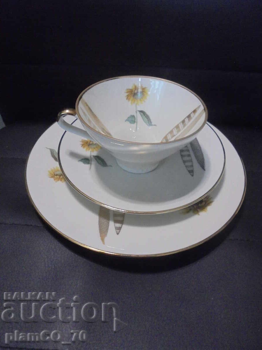 №*8515 Set de porțelan triplu Z&Co Tirschenreut Bavaria - 6