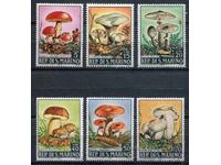 Σαν Μαρίνο 1967 ε. MnH - Φυτά, μανιτάρια